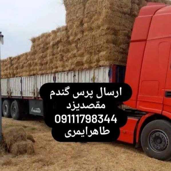 1712997943187.webp