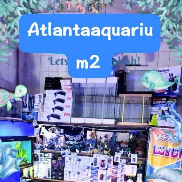 1713079798962.webp