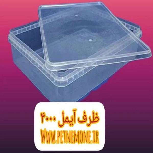 1713597843796.webp