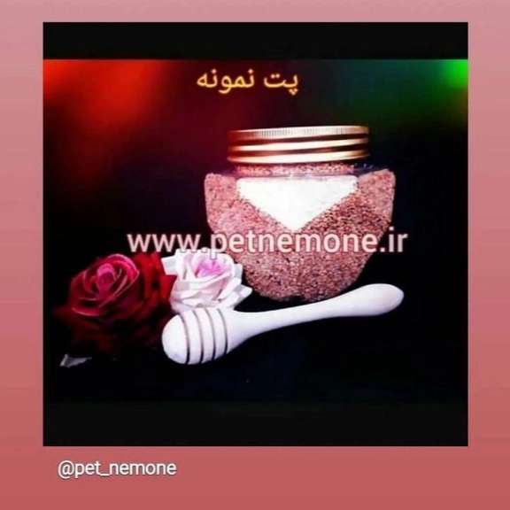 1713597870934.webp