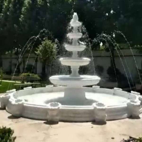 1713598785559.webp