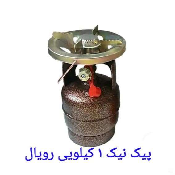1717219036231.webp