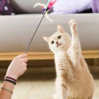 1719394320468.webp