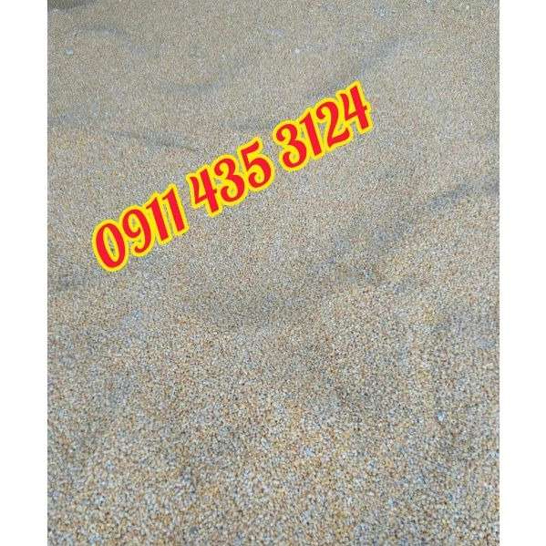 1721193463908.webp