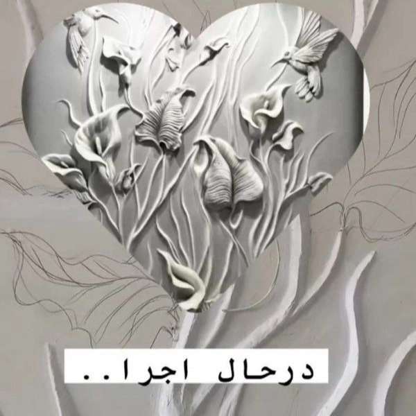1723021604495.webp