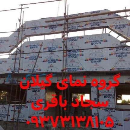 1723715491053.webp