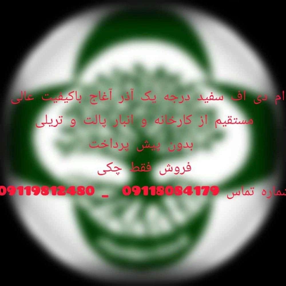 1733555492659.webp
