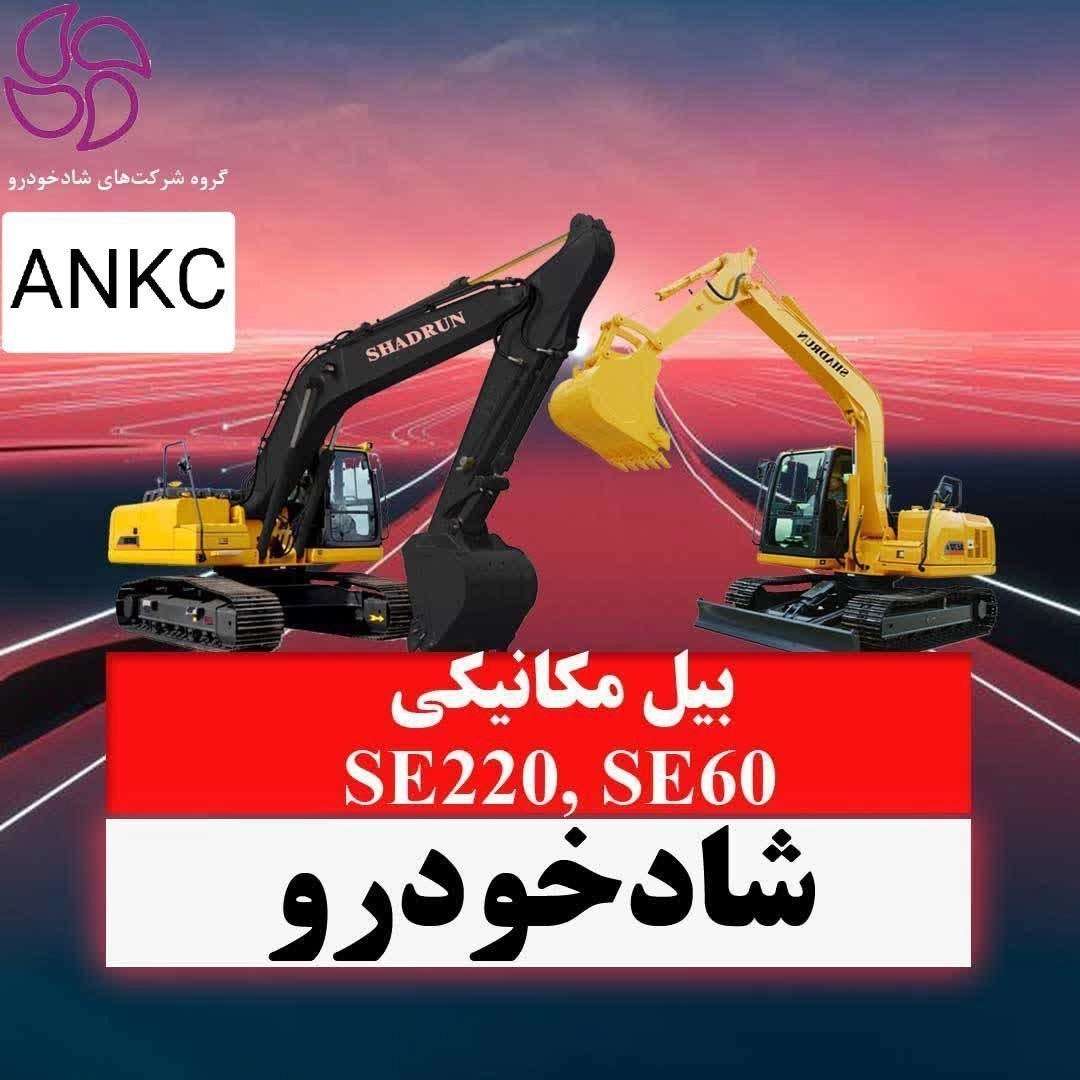 1734336523823.webp