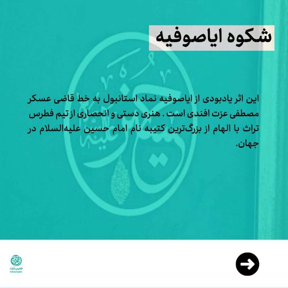 1734417213095.webp