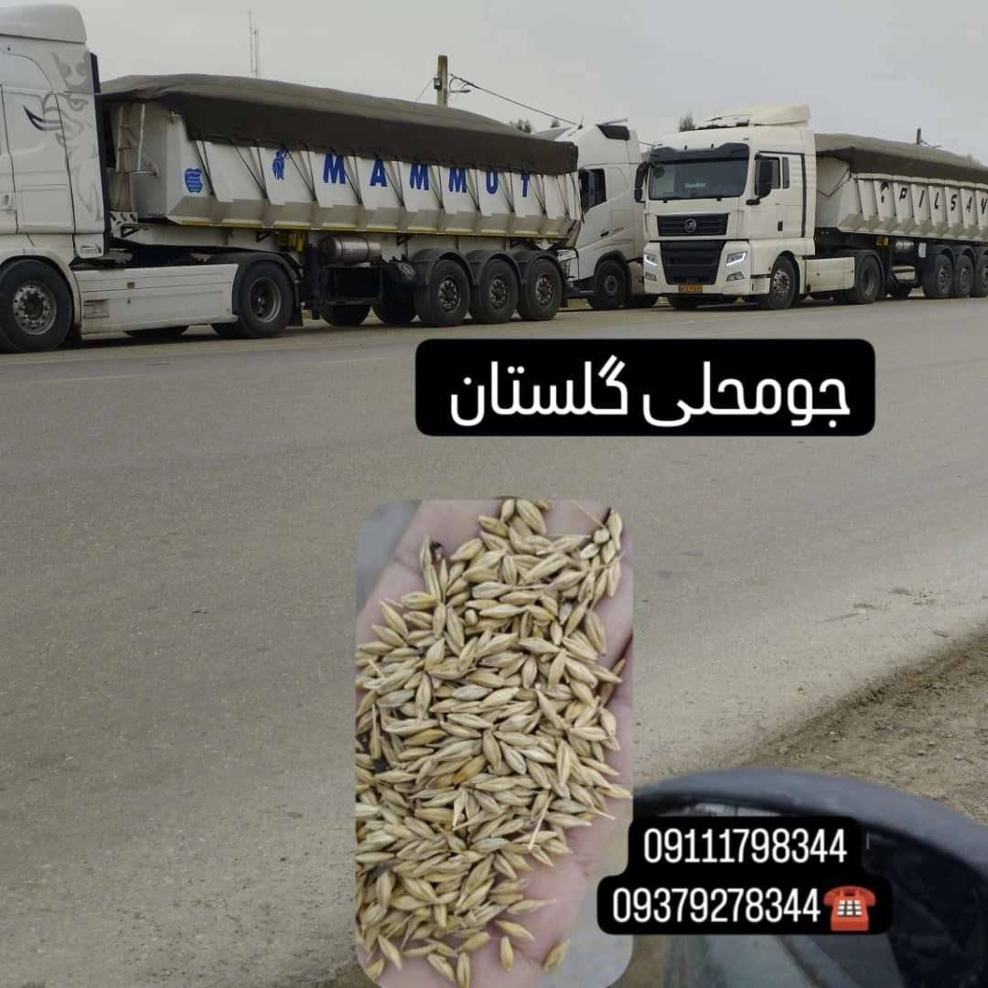 1743844279311.webp