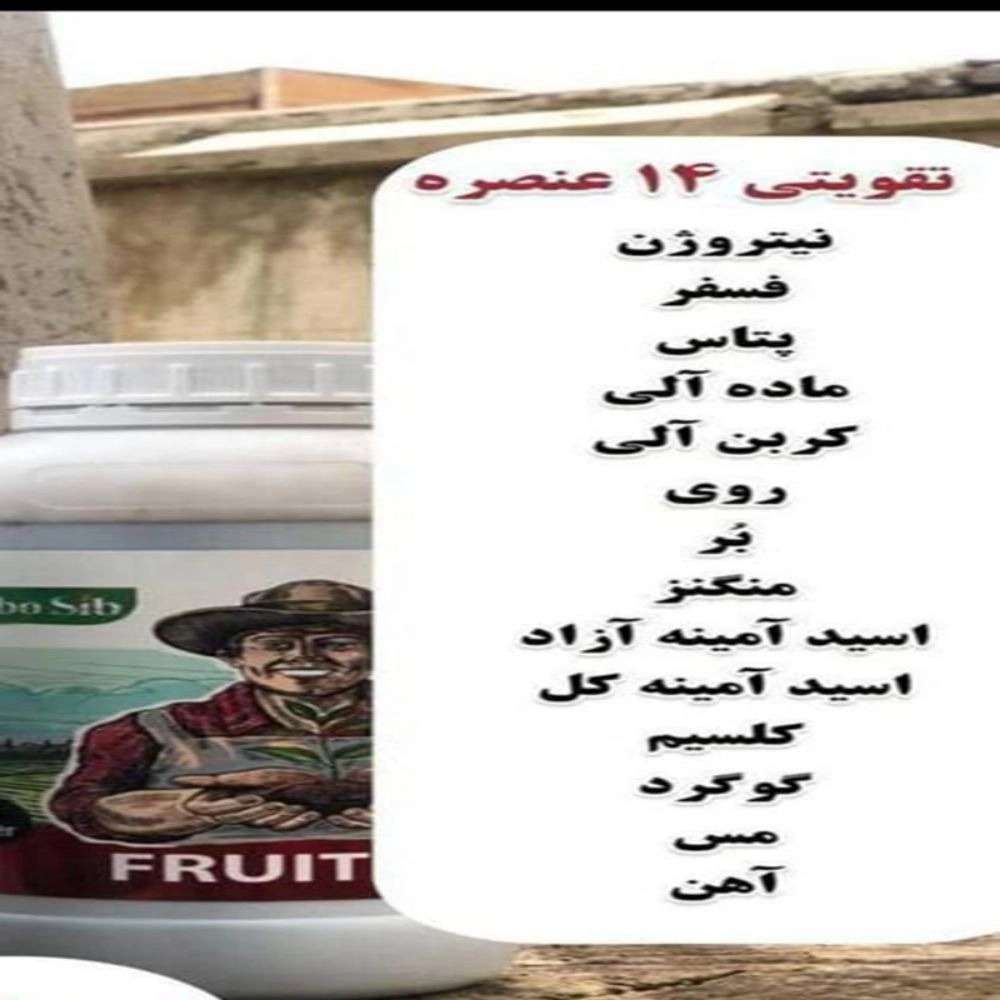1744449175634.webp
