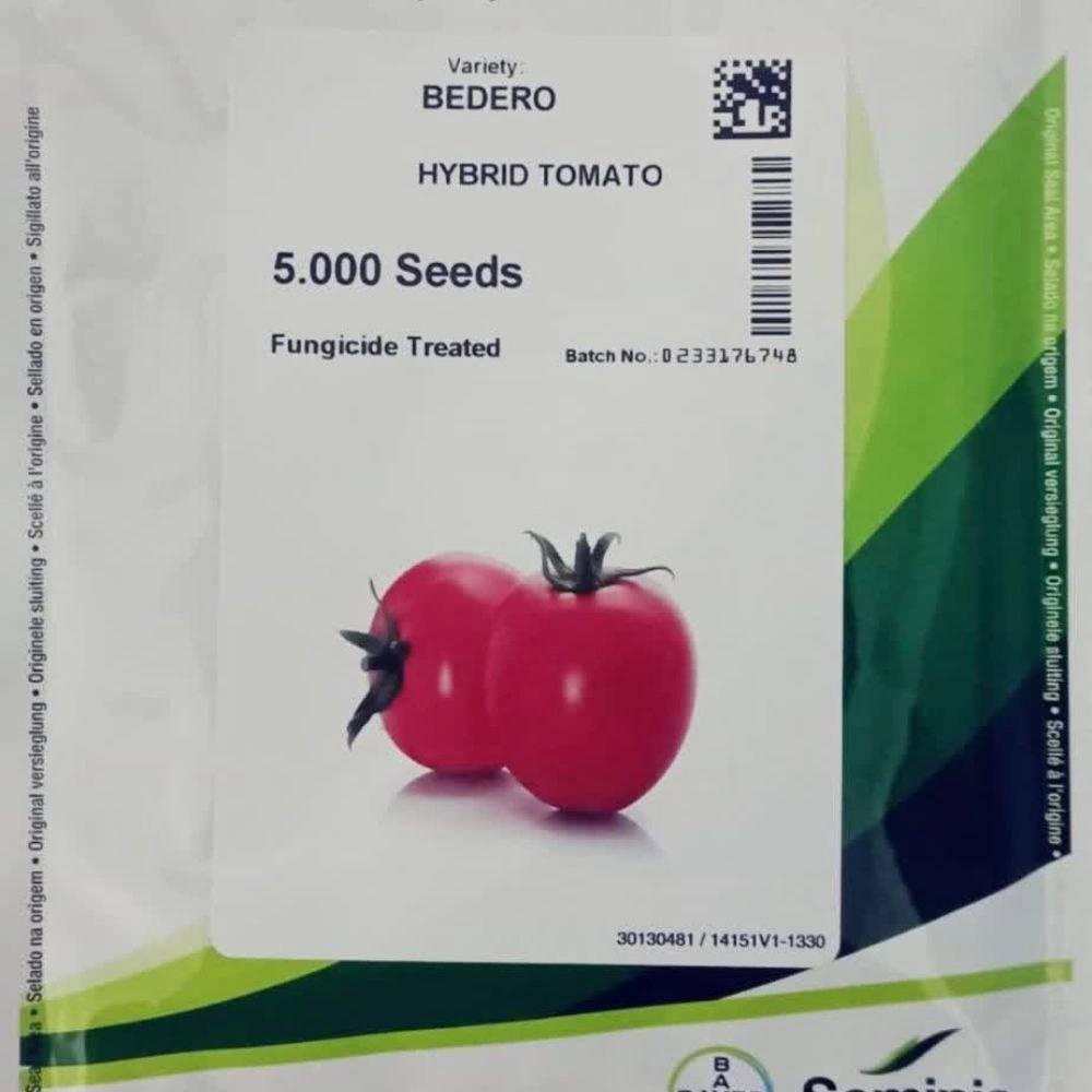 1791967197972.webp