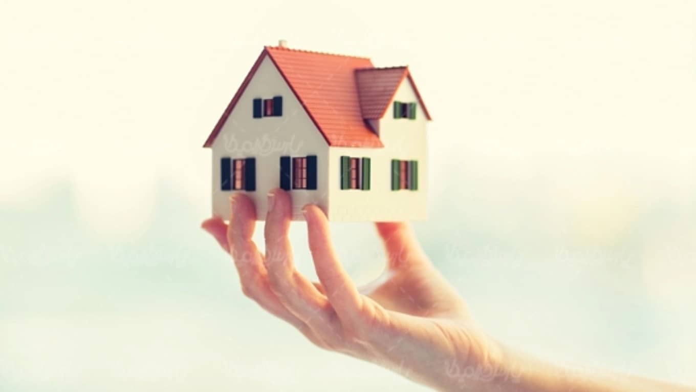 Alborz real estate consultants