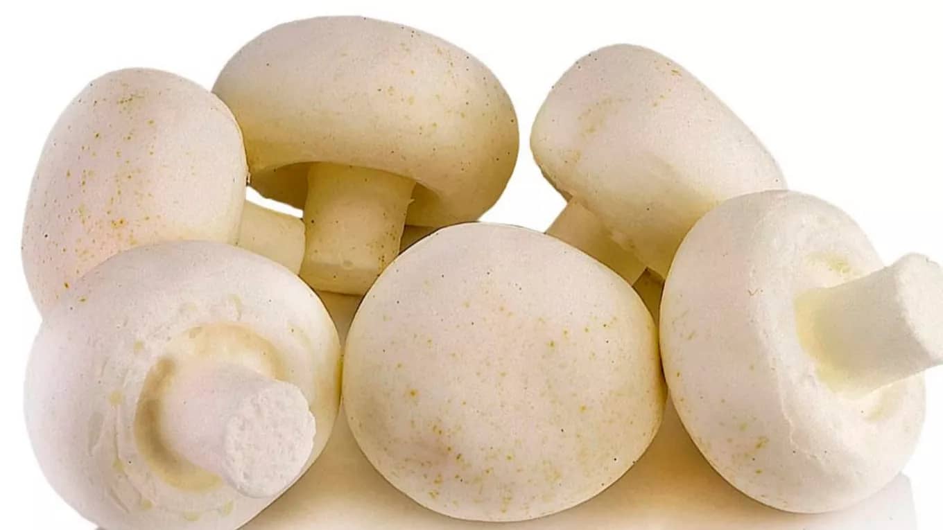 دانستنی های پرکاربرد درباره آشپزی و وسایل آشپزخانه