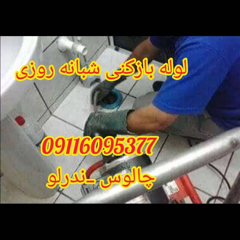 1698235272582.webp