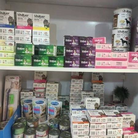 1699768387241.webp
