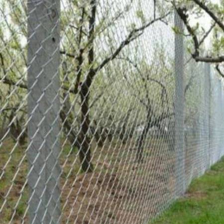 1700114284484.webp