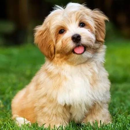 1704608443042.webp