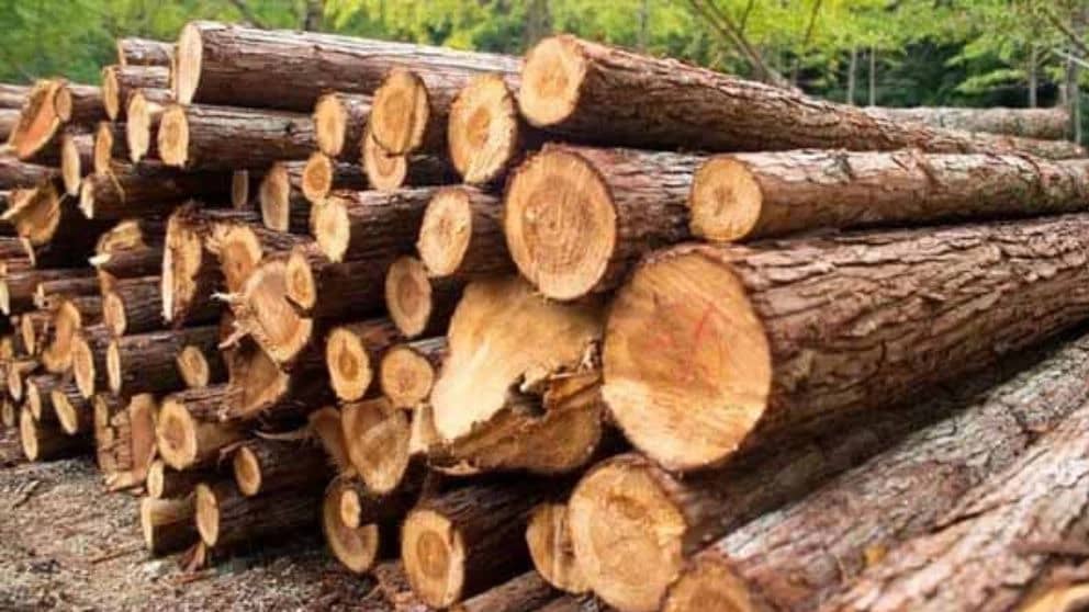 چرا چوب یک محصول مهم است؟