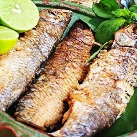 همیشه بهار