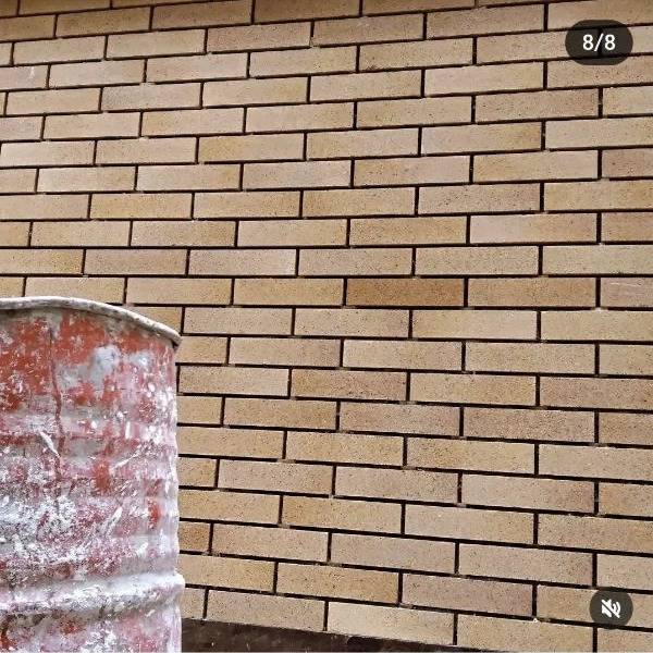 1717825701828.webp