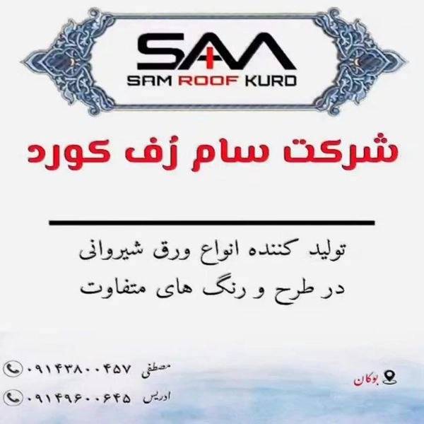 1718009345649.webp