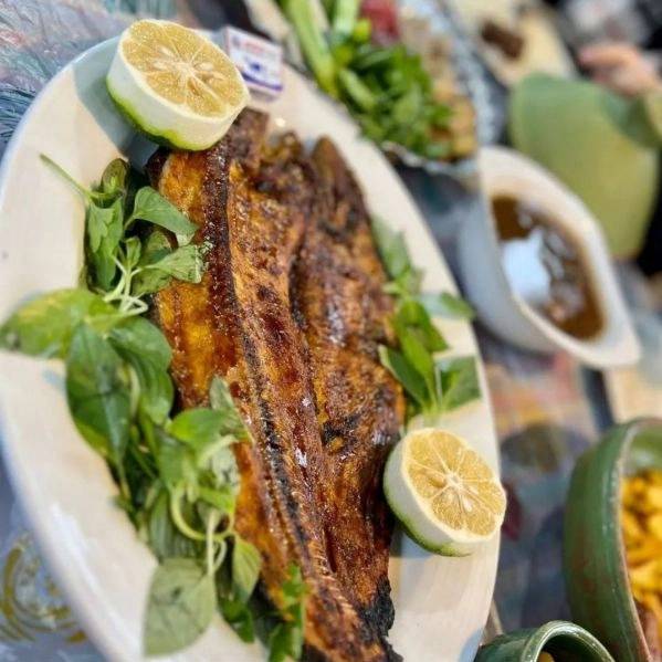 همیشه بهار