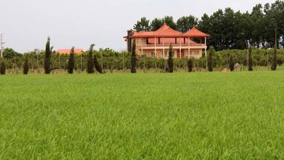 نکات مهم و ضروری برای خرید زمین در شمال