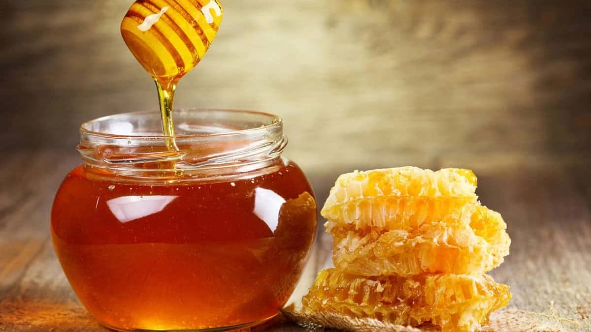 فروش عمده و صادرات عسل گون ارگانیک