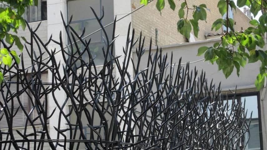 مزایای حفاظ شاخ گوزنی