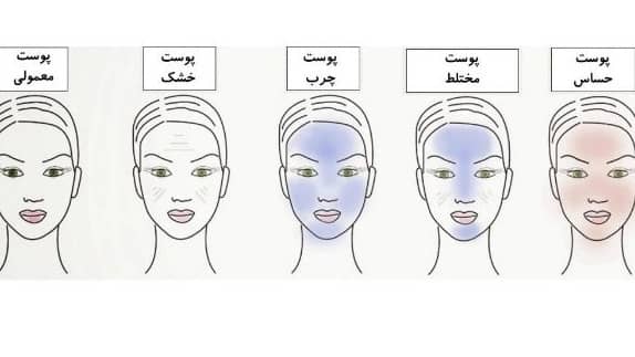 چه عواملی نوع پوست شما را مشخص میکنند؟
