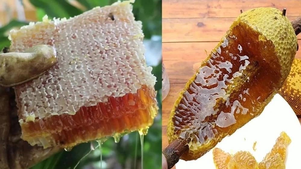 فروش عسل طبیعی در تبریز