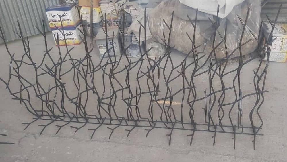 حفاظ ممتاز در تهران