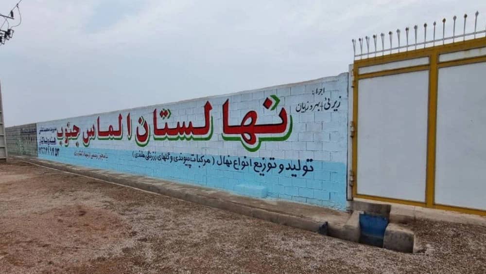 نهال مرکبات پیوندی در دزفول