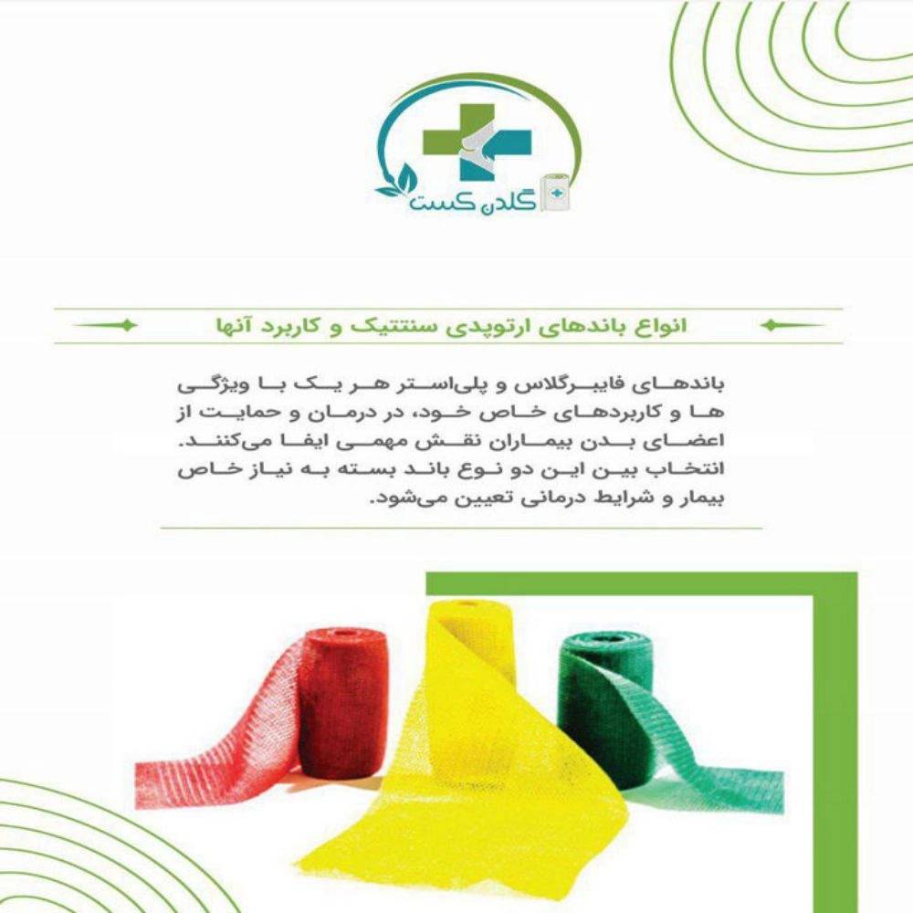 1745050428207.webp