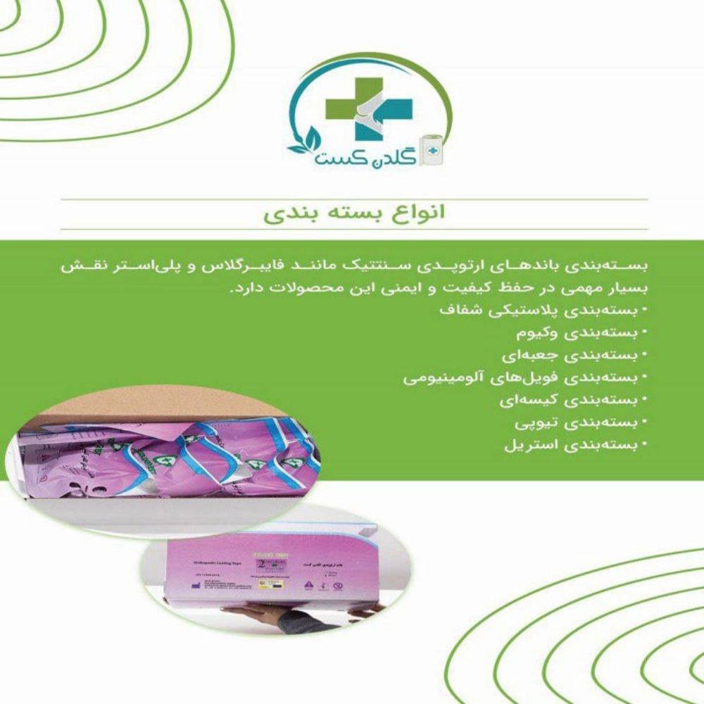 1745050481996.webp