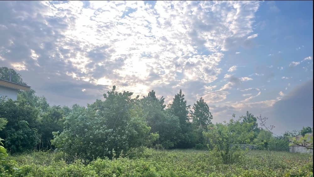 کد ۱۰۲