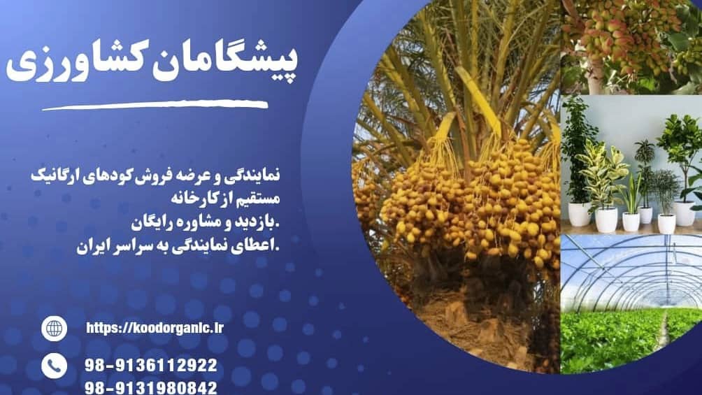 بهترین کود ارگانیک برای درخت
