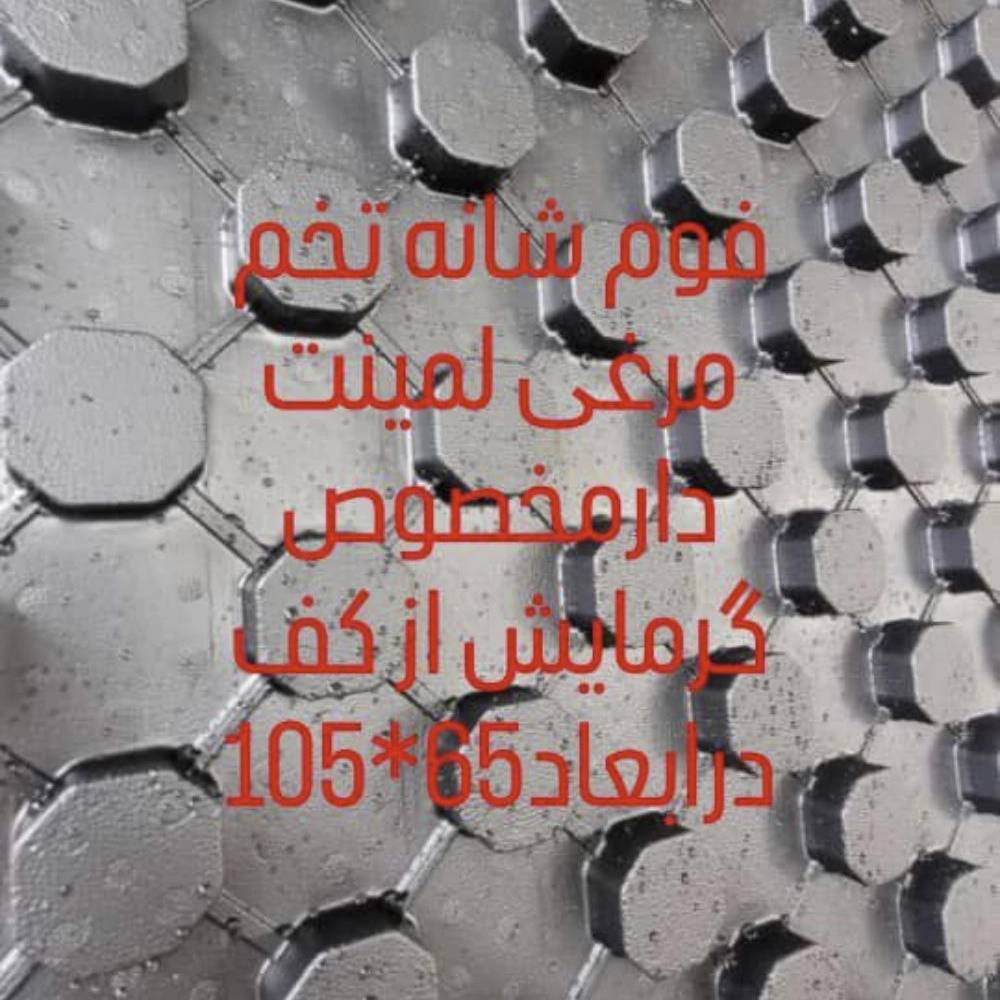1747568281786.webp