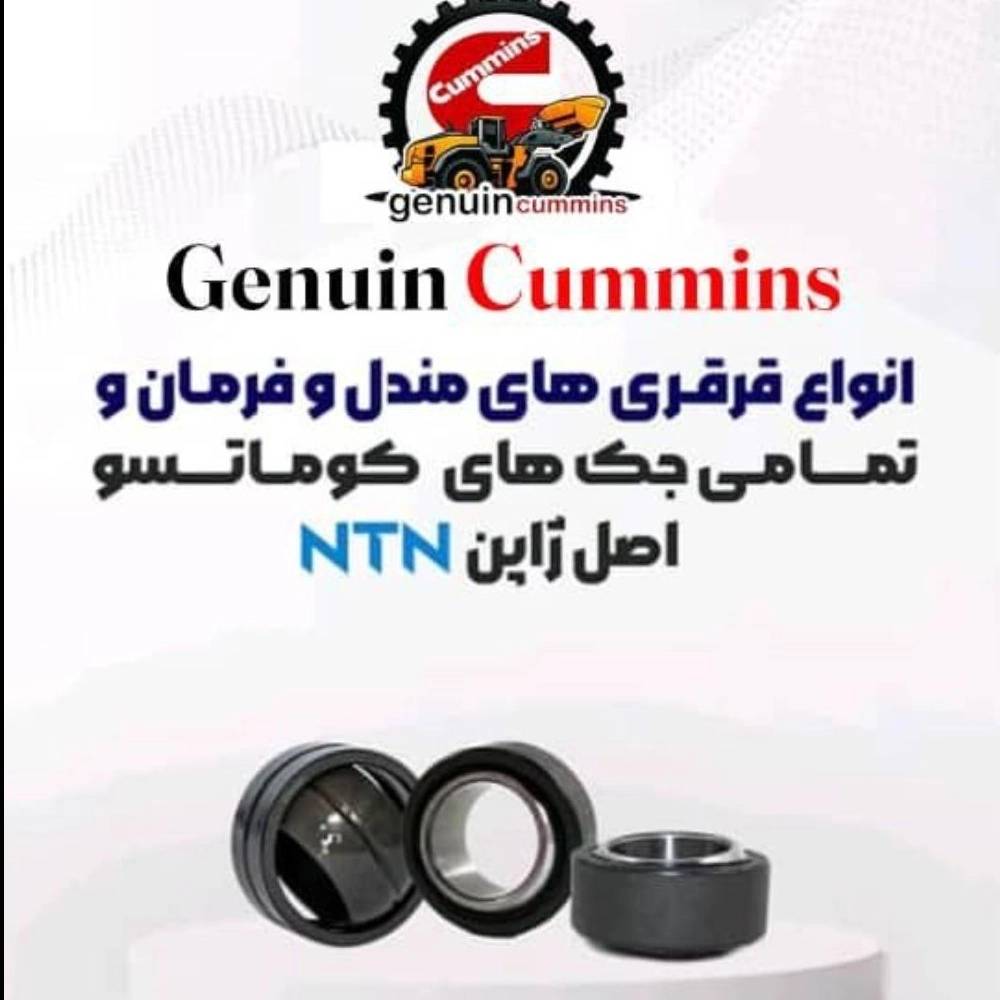 1765884003764.webp