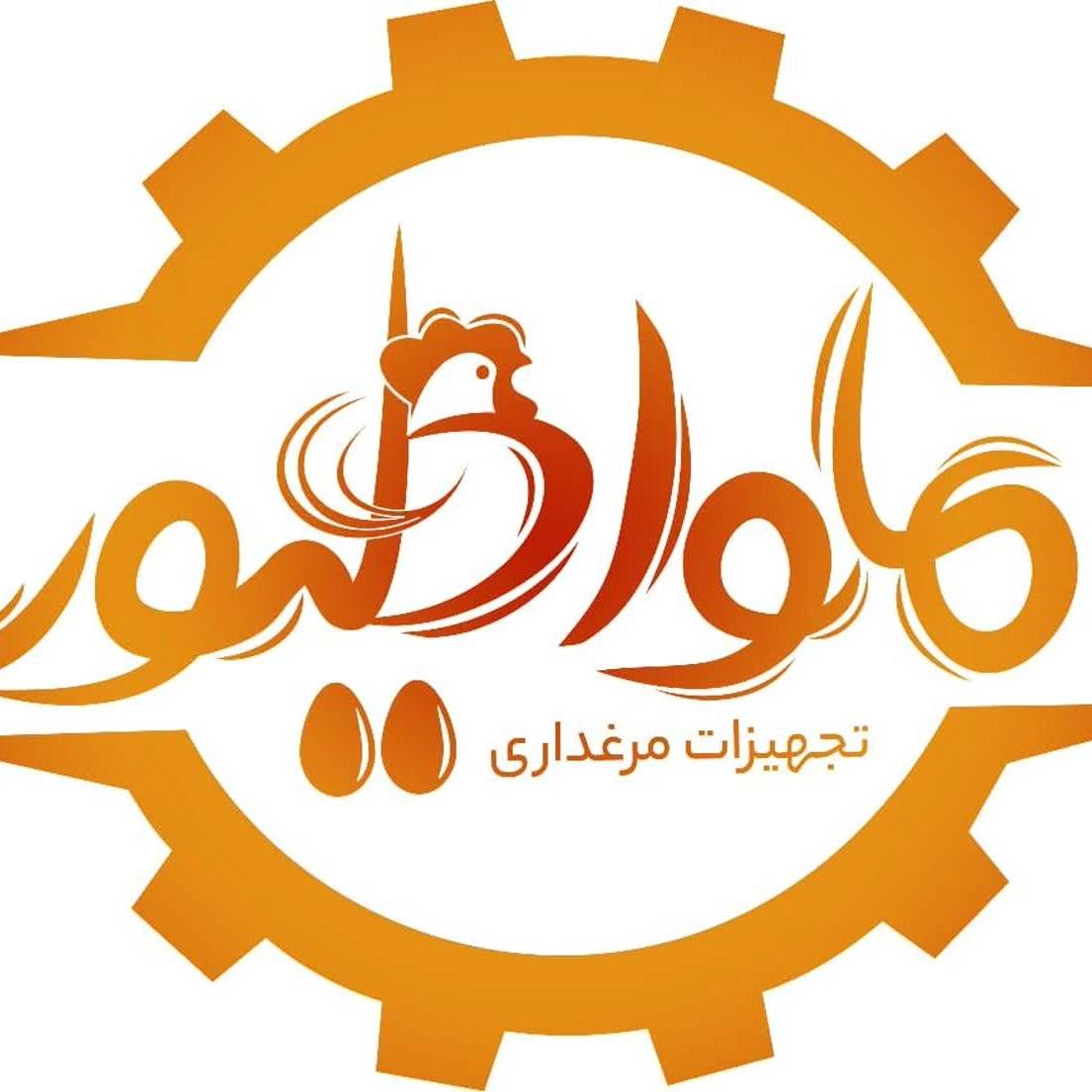 1767852447891.webp