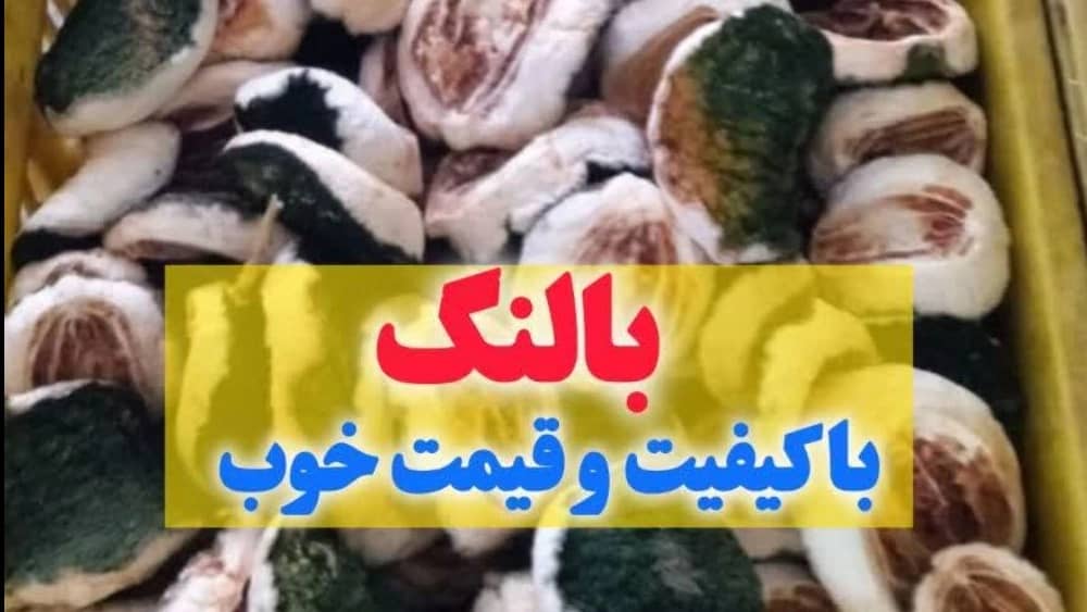 خریدوفروش، صادرات و تامین کننده تخصصی