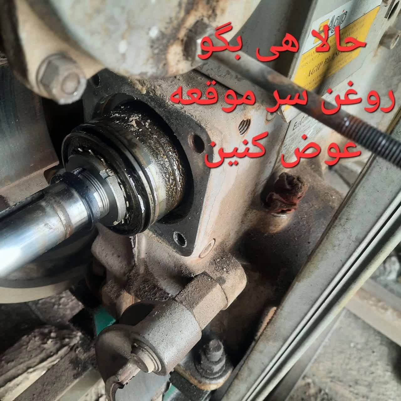 1777187562523.webp