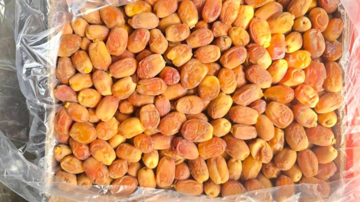 آنلاین شاپ نخل طلایی، فروش و پخش خرما و فرآورده های خرما در اهواز