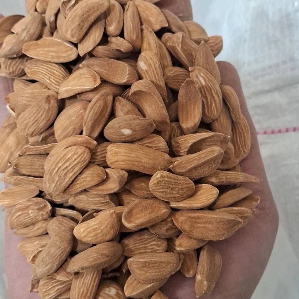 پخش عمده بادام