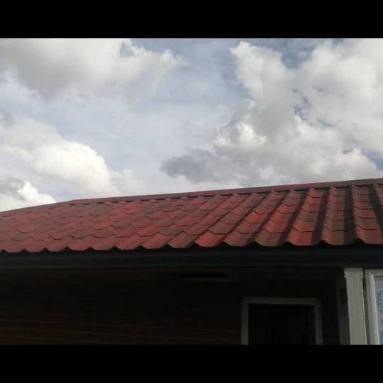 1688470744333.webp