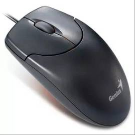 1688975624924.webp