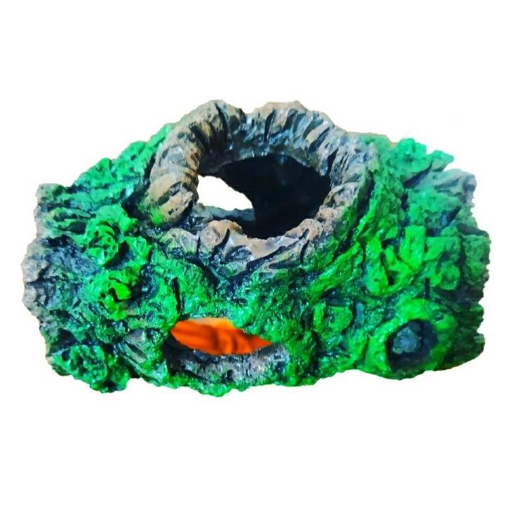 1690698519750.webp