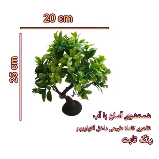 1690964723684.webp