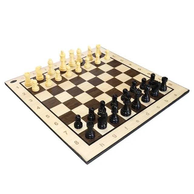 1692422471824.webp